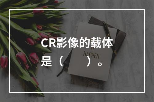 CR影像的载体是（　　）。