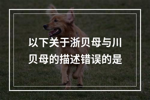 以下关于浙贝母与川贝母的描述错误的是