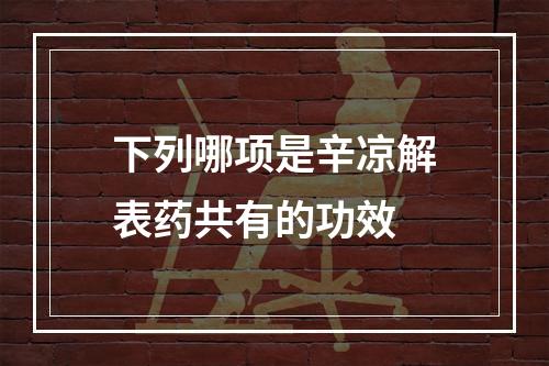 下列哪项是辛凉解表药共有的功效