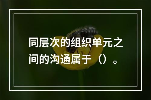 同层次的组织单元之间的沟通属于（）。