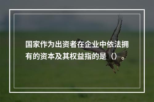 国家作为出资者在企业中依法拥有的资本及其权益指的是（）。