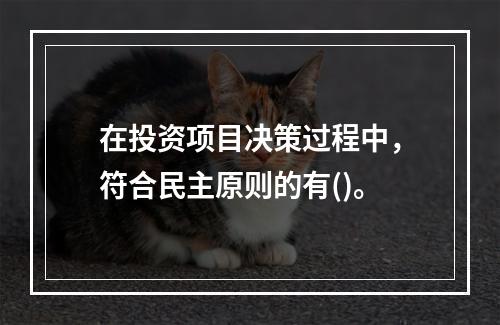 在投资项目决策过程中，符合民主原则的有()。