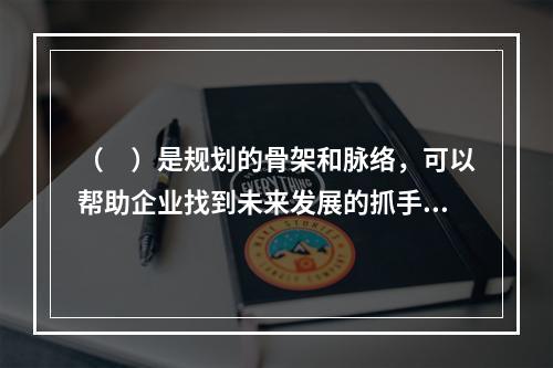 （　）是规划的骨架和脉络，可以帮助企业找到未来发展的抓手。