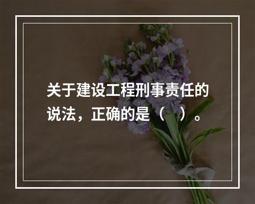 关于建设工程刑事责任的说法，正确的是（　）。