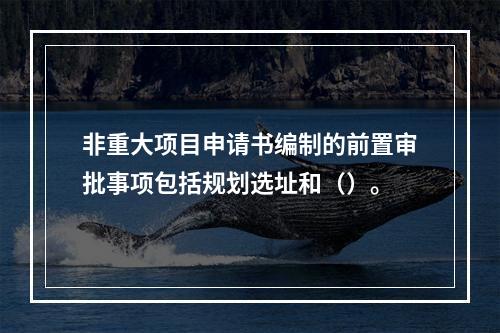 非重大项目申请书编制的前置审批事项包括规划选址和（）。