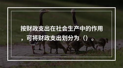 按财政支出在社会生产中的作用，可将财政支出划分为（）。