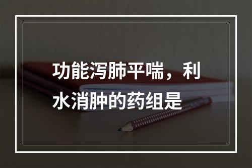 功能泻肺平喘，利水消肿的药组是