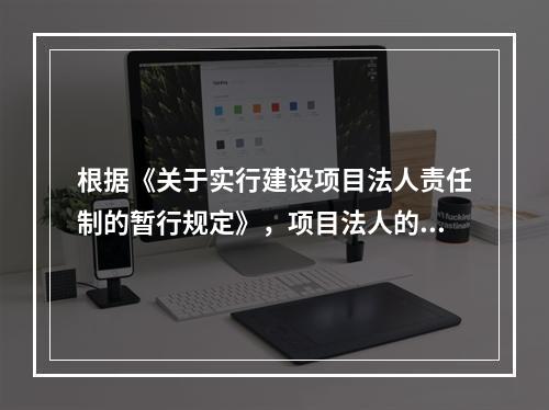 根据《关于实行建设项目法人责任制的暂行规定》，项目法人的设立