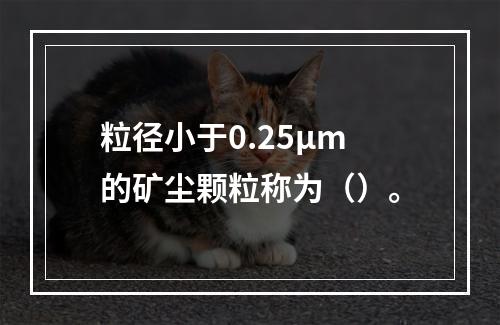 粒径小于0.25μm的矿尘颗粒称为（）。