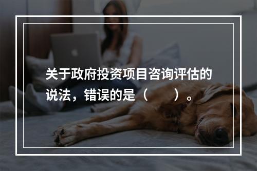 关于政府投资项目咨询评估的说法，错误的是（　　）。