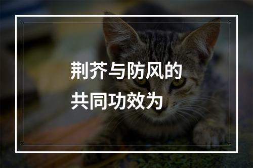 荆芥与防风的共同功效为