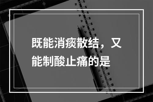 既能消痰散结，又能制酸止痛的是