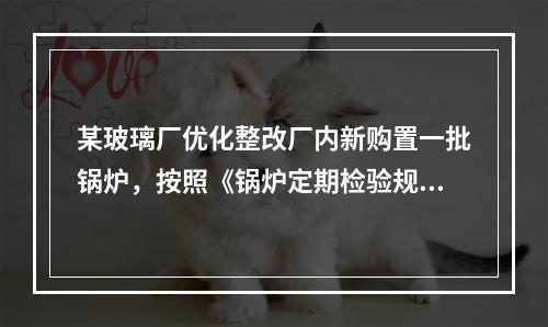 某玻璃厂优化整改厂内新购置一批锅炉，按照《锅炉定期检验规则》