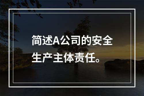 简述A公司的安全生产主体责任。