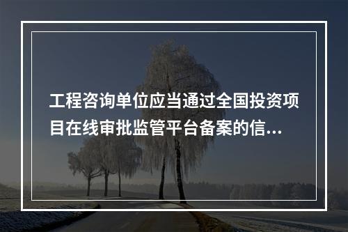 工程咨询单位应当通过全国投资项目在线审批监管平台备案的信息包