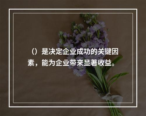 （）是决定企业成功的关键因素，能为企业带来显著收益。