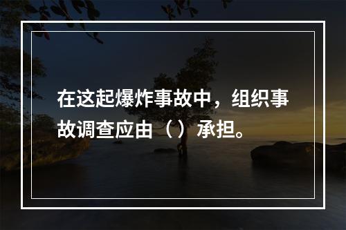 在这起爆炸事故中，组织事故调查应由（	）承担。