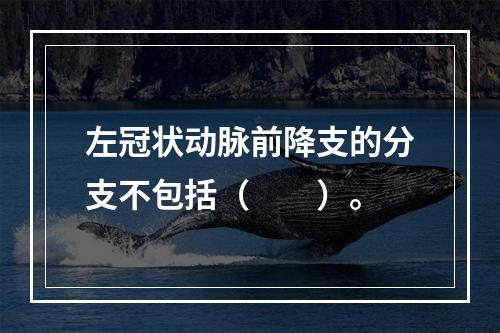 左冠状动脉前降支的分支不包括（　　）。