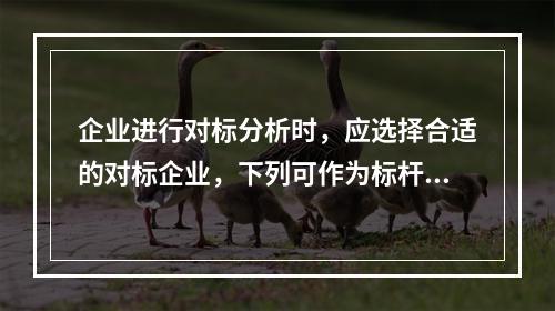 企业进行对标分析时，应选择合适的对标企业，下列可作为标杆的有