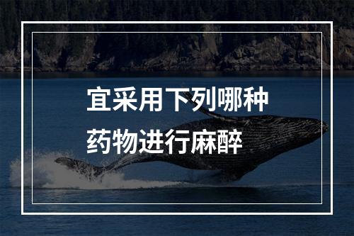 宜采用下列哪种药物进行麻醉