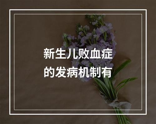 新生儿败血症的发病机制有