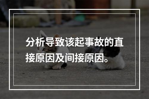 分析导致该起事故的直接原因及间接原因。