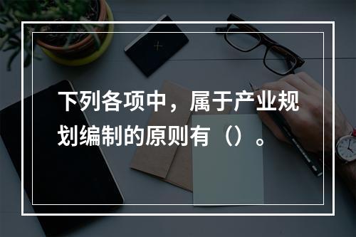 下列各项中，属于产业规划编制的原则有（）。