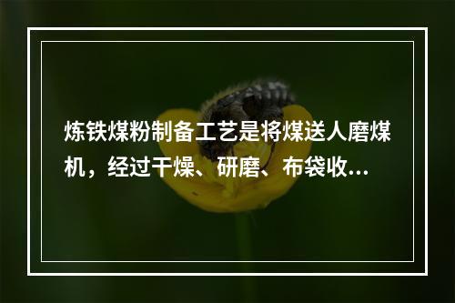 炼铁煤粉制备工艺是将煤送人磨煤机，经过干燥、研磨、布袋收粉后