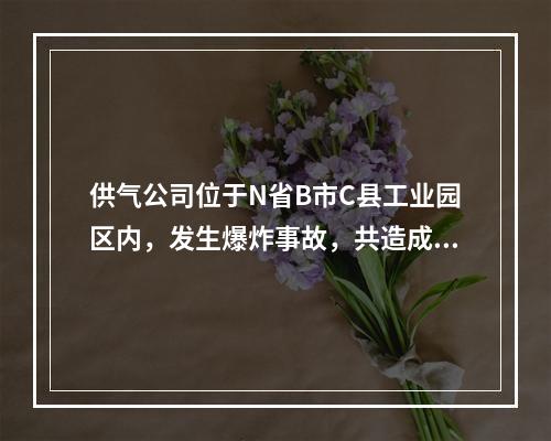 供气公司位于N省B市C县工业园区内，发生爆炸事故，共造成3人