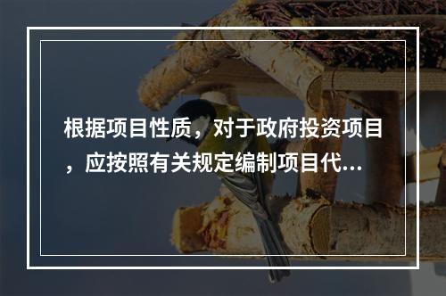 根据项目性质，对于政府投资项目，应按照有关规定编制项目代建制