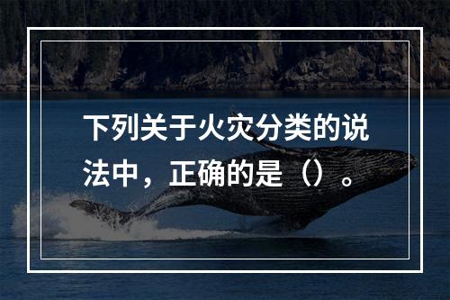 下列关于火灾分类的说法中，正确的是（）。