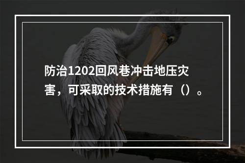 防治1202回风巷冲击地压灾害，可采取的技术措施有（）。