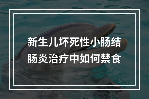 新生儿坏死性小肠结肠炎治疗中如何禁食