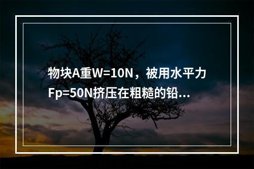 物块A重W=10N，被用水平力Fp=50N挤压在粗糙的铅垂