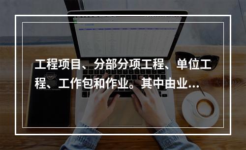 工程项目、分部分项工程、单位工程、工作包和作业。其中由业主规