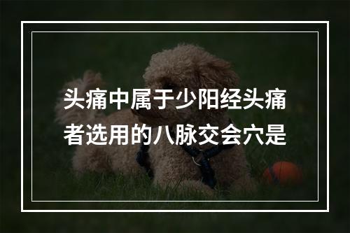 头痛中属于少阳经头痛者选用的八脉交会穴是