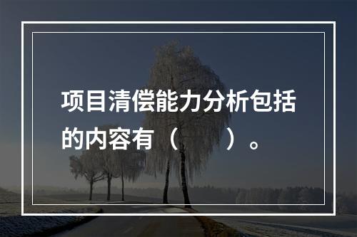 项目清偿能力分析包括的内容有（　　）。