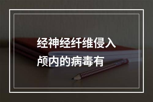 经神经纤维侵入颅内的病毒有