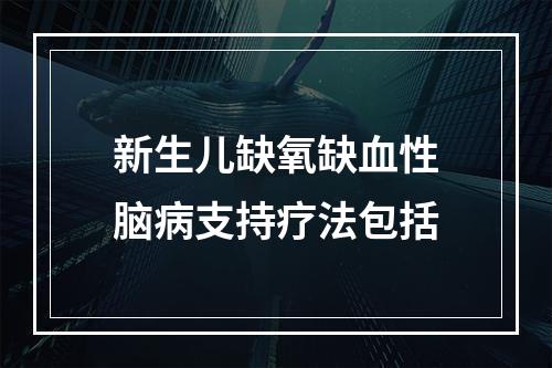 新生儿缺氧缺血性脑病支持疗法包括