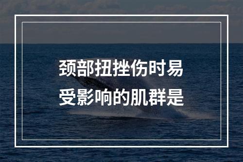 颈部扭挫伤时易受影响的肌群是