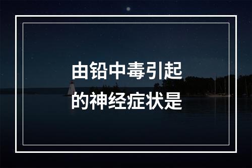 由铅中毒引起的神经症状是