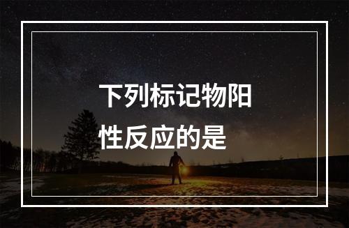 下列标记物阳性反应的是