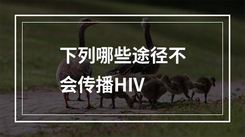 下列哪些途径不会传播HIV