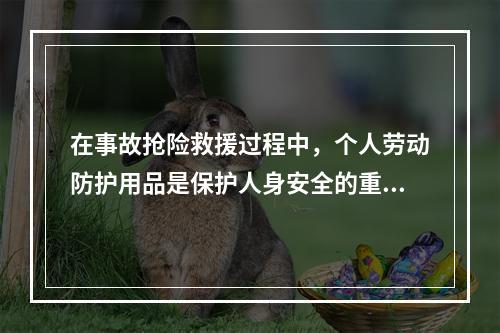 在事故抢险救援过程中，个人劳动防护用品是保护人身安全的重要手