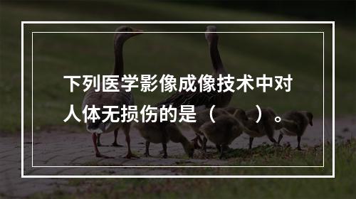 下列医学影像成像技术中对人体无损伤的是（　　）。