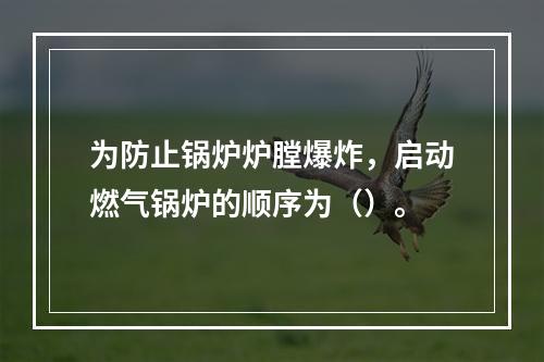 为防止锅炉炉膛爆炸，启动燃气锅炉的顺序为（）。