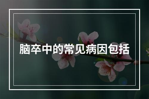 脑卒中的常见病因包括