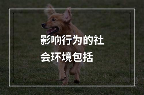 影响行为的社会环境包括