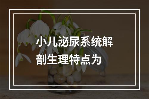 小儿泌尿系统解剖生理特点为