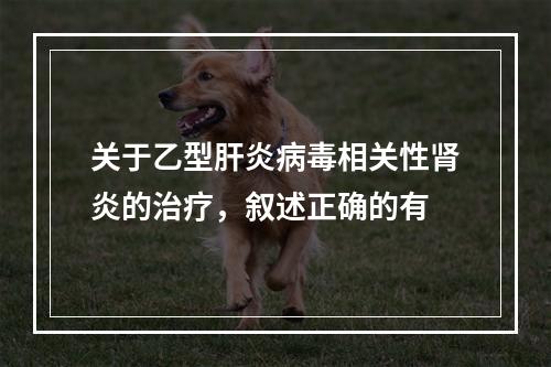 关于乙型肝炎病毒相关性肾炎的治疗，叙述正确的有